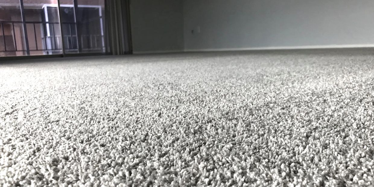 The best carpet cleaning service in Bradenton, this carpet had soil build-up removed with HWE.