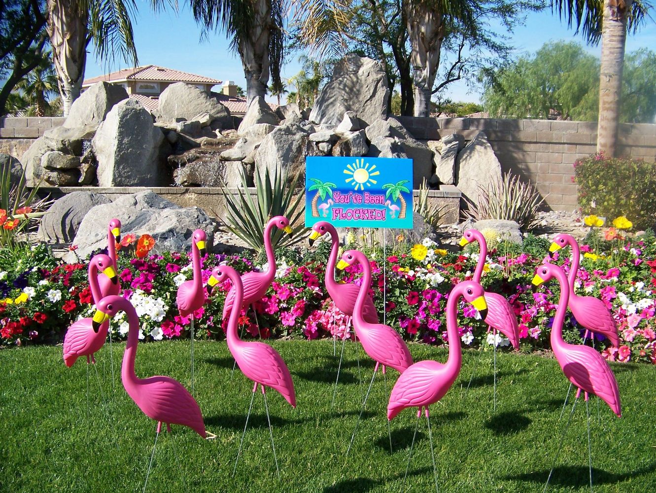 Pink Flamingo Flocking