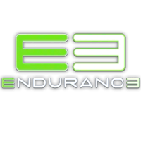 E3 Endurance