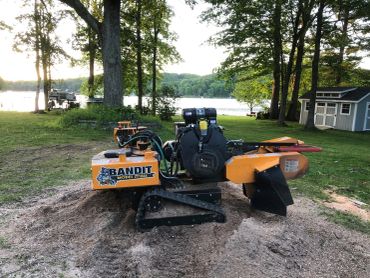 Bandit stump grinder in a scenic lakeside yard.