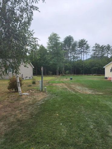 A grassy yard between two houses with trees in the background on a cloudy day.