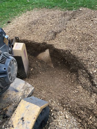 Wood chipper grinding tree stump into mulch.