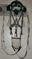 Horsehair hitched bridle: Montana prison made. 7' long reins. Selling with E. Garcia bit.