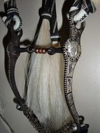 E. Garcia bit on the Montana prison made horsehair hitched bridle