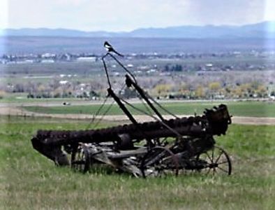 Early Grain Elevator