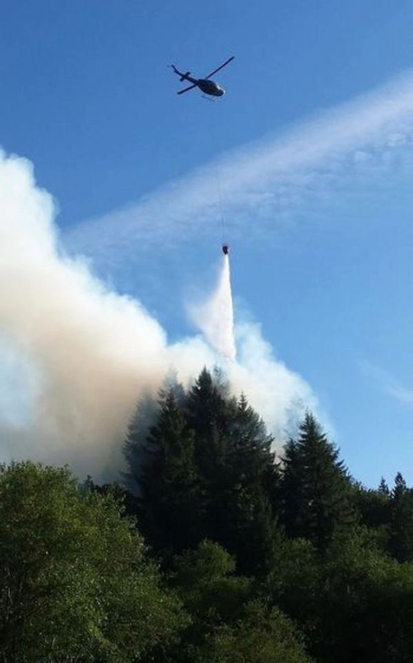 Woodland wildland fire