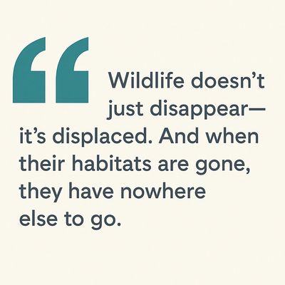 Defend our local wildlife