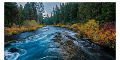 Photograph taken from the center of a natural flowing river with vegetation and forests on each side