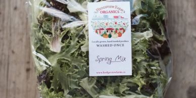 Salad Mix or Spring Mix