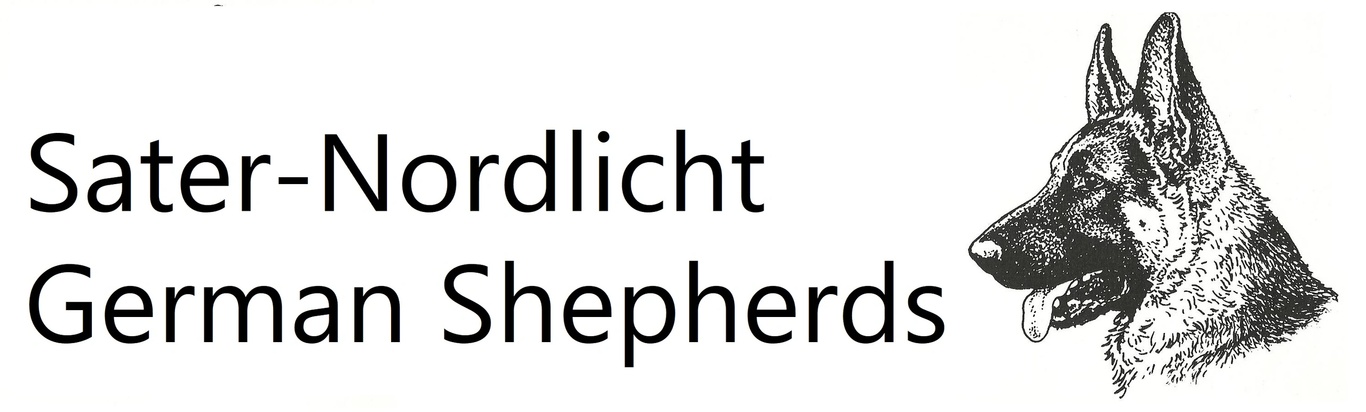 Sater-Nordlicht German Shepherds