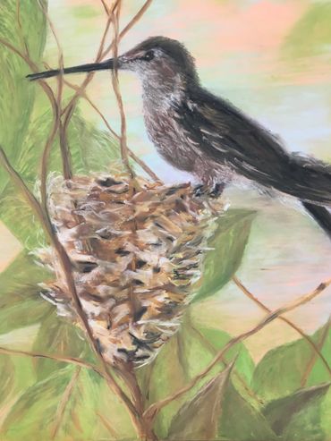 Nesting Humming Bird, 
Oil Pastel, 16" x 20"
$175