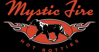 Mystic Fire Rottweilers