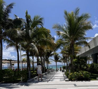Palm tree-lined pathway leading to the beach under a clear blue sky.