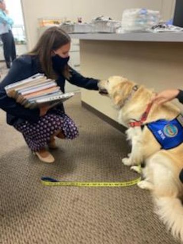 Celebrating National Dog Week!