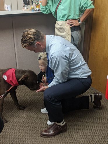 Celebrating National Dog Week!