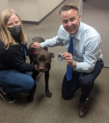 Celebrating National Dog Week!