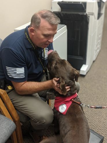 Celebrating National Dog Week!