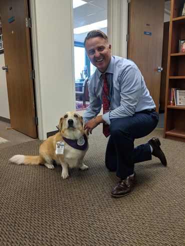 Celebrating National Dog Week!