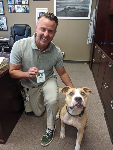 Celebrating National Dog Week!