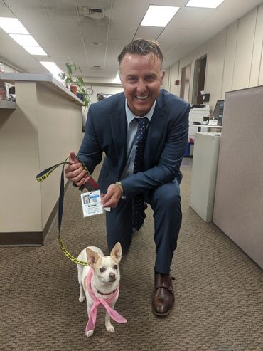 Celebrating National Dog Week!