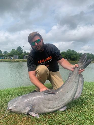 Triangle Fishing Lakes Large Catfish