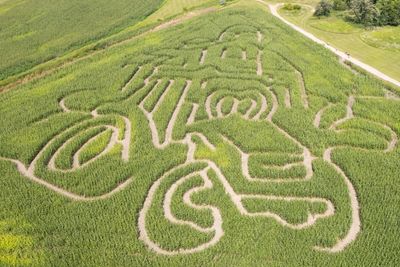 Grafton Corn Maze Grafton North Dakota Grafton Parks and Recreation