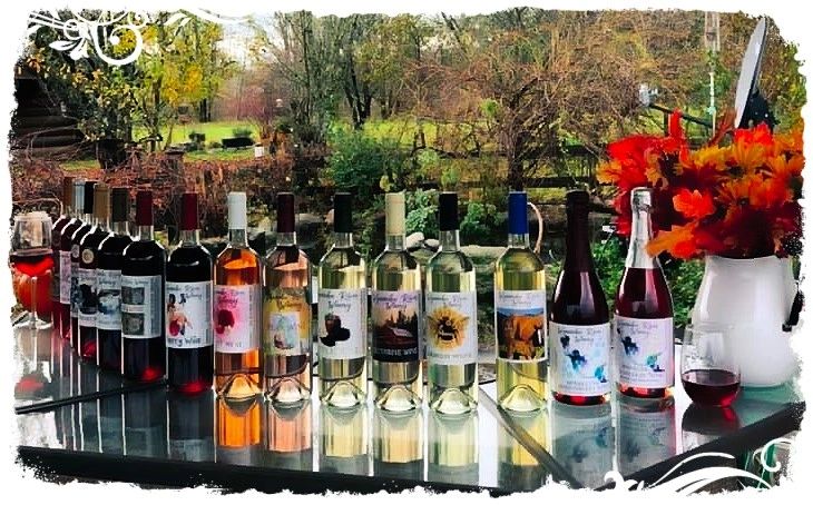 Outside at Wynoochee River Winery & an assortment of fruit wines for sampling. Sit outside & enjoy a