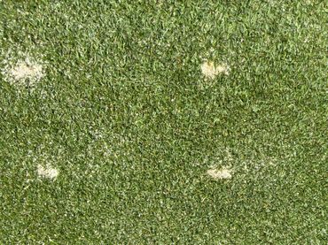 WetJect - After a Brush