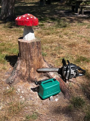 Easyfill no-spill jerry can next to a chainsaw on a tree stump, showing safe refuelling for forestry work