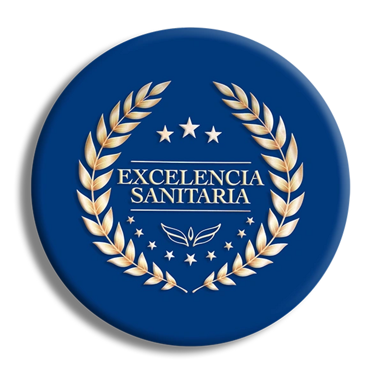 Galardón por el gran cuidado al adulto mayor