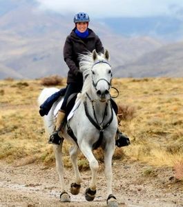 Photo by Steve Bradley