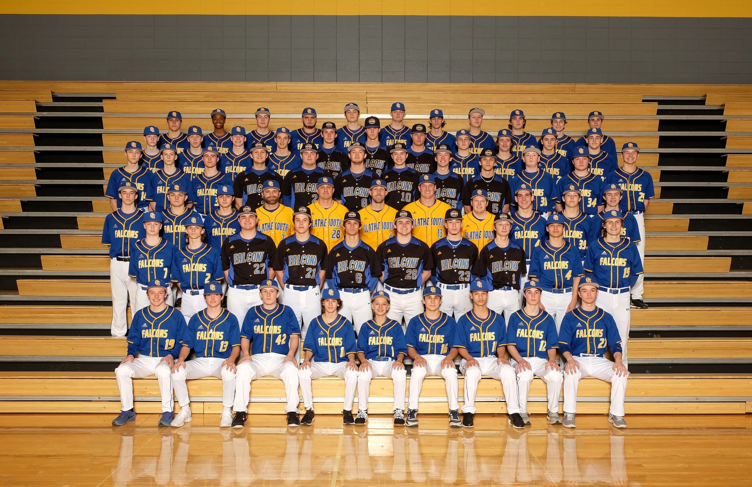 Olathe South Falcons Baseball Home