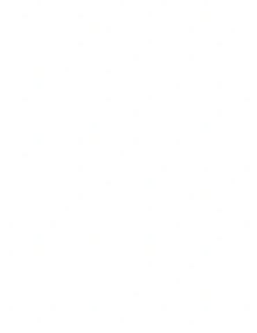 A blank white image with no visible content.
