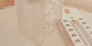 fermentation de la bière
