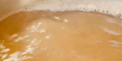 houblonnage et ébullition pour créer l'amertume