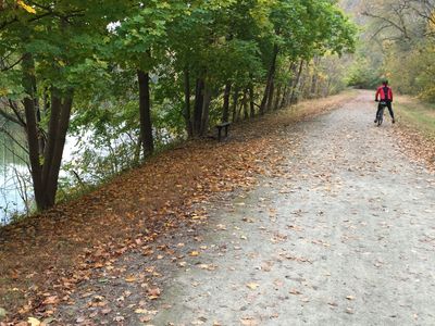 Cyclist on the Great Allegheny Passage near West Newton, PA