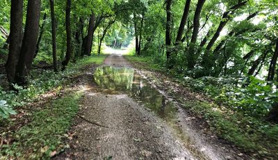 puddles on the C and O Canal