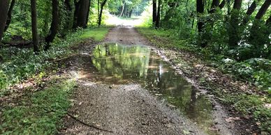 Puddles are often unavoidable on the C&O Canal