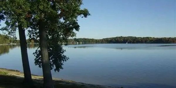 Calm lake with trees and clear blue sky.