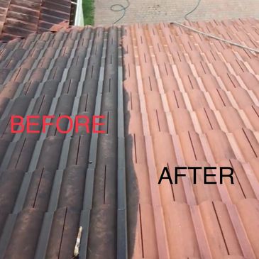 Tile roof cleaning service 