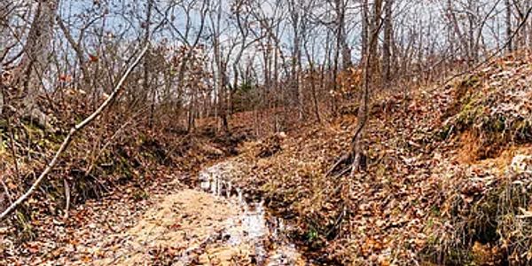 A small stream flowing through a leaf-covered forest in late autumn.