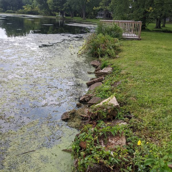 A Before photo of a seawall project in Akron, OH on Portage Lakes.