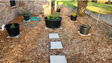 Even a small space can generate lots of food and still be pleasing to the eye.
