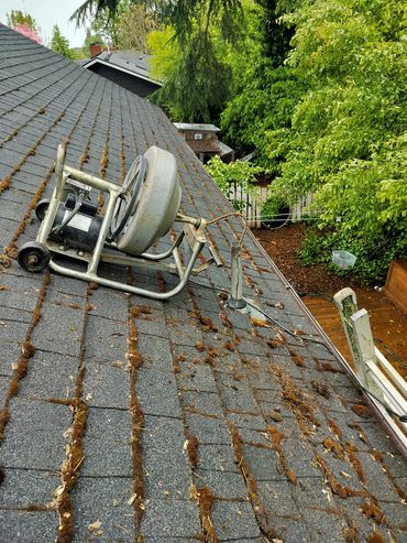 Drain Cleaning a plugged kitchen sink