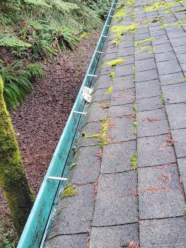 Gutter drains have been cleaned