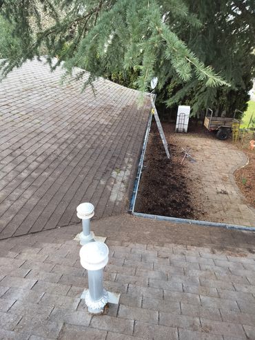 Clean roof gutter cleaned unclogged gutters and downspout in Corvallis Oregon 