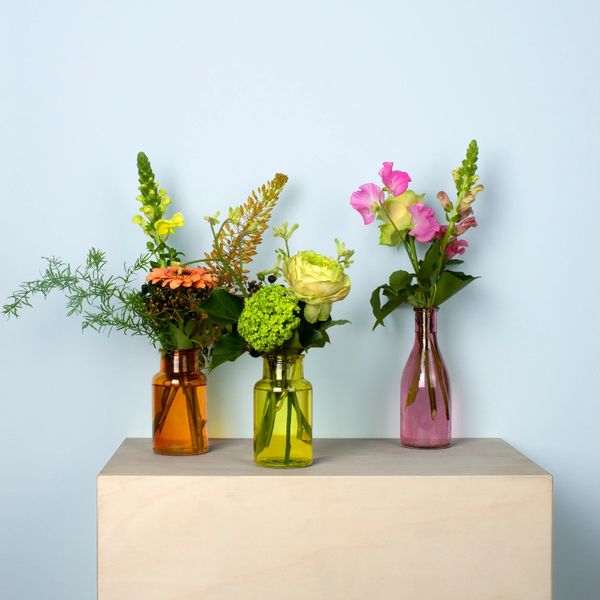 Colored vases with flowers 