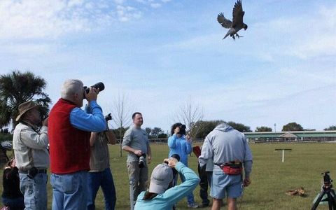 nature photography wildlife photography