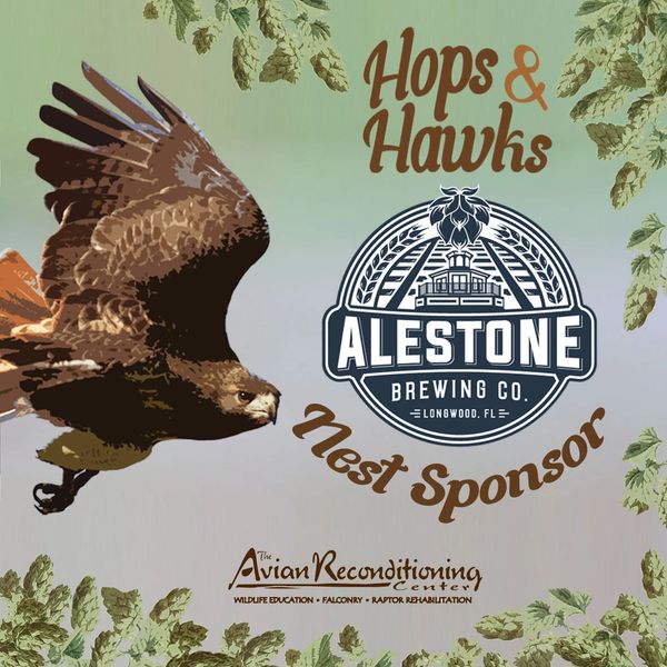 third annual hops & hawks at alestone brewing co.