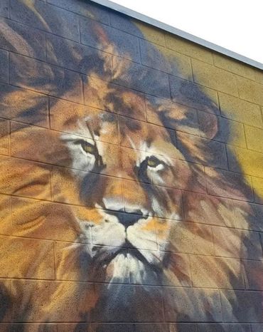 Lion spray painted murals